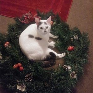 Meet your Posher, Claudia